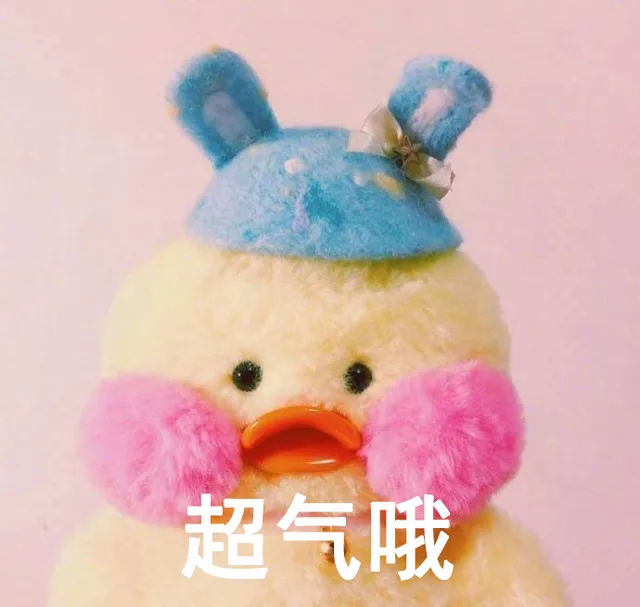 玻尿酸鸭和鹦鹉兄弟是什么关系？ _玻尿酸鸭_卡通_萌萌哒表情包