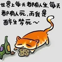 世界上每天都有人生，每天都有人死，而我是醉生梦死