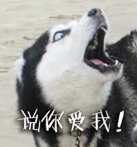 说你爱我！（说你爱我！）