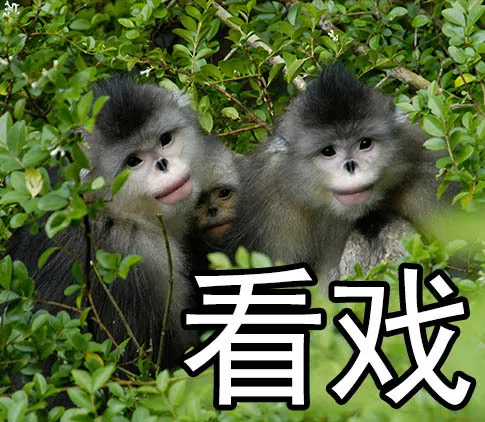 看戏