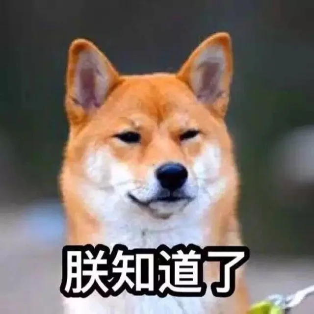 朕知道了