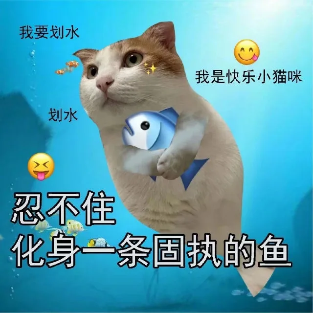 我要划水我是快乐小猫咪划水忍不住化身一条固执的鱼（我要划水我是快乐小猫咪划水忍不住化身一条固执的鱼）