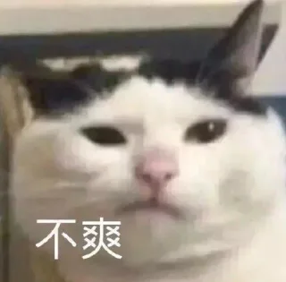 不爽