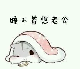 睡不着想老公（睡不着想老公）