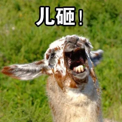儿砸!（儿砸!）