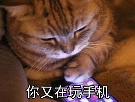 你又在玩手机