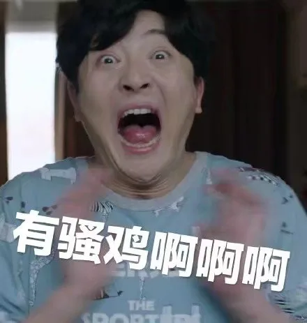 有骚鸡啊啊