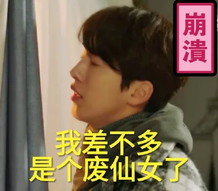 崩溃，我差不多是个废仙女了