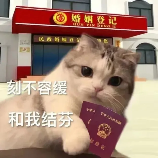 刻不容缓和我结婚（刻不容缓和我结婚）