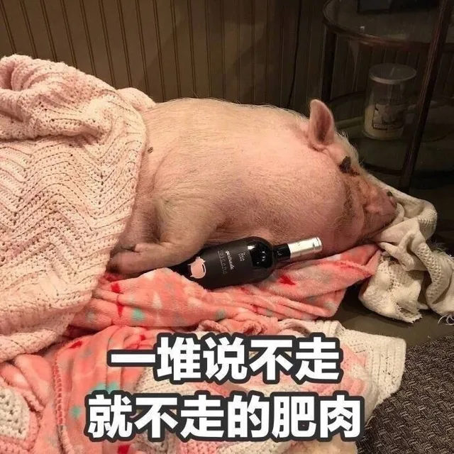 一堆说不走就不走的肥肉（一堆说不走就不走的肥肉）