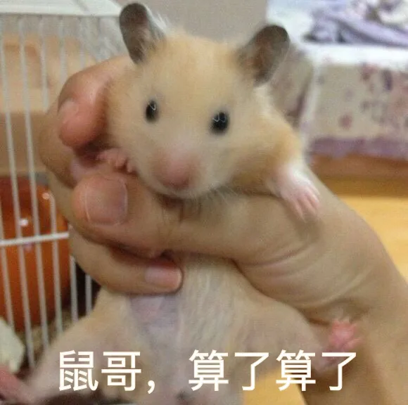 鼠哥，算了算了（鼠哥，算了算了）
