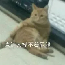 真让人摸不着屁股