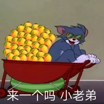 来一个吗，小老弟（来一个吗，小老弟）