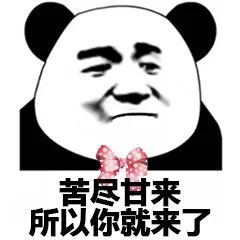 苦尽甘来，所以你就来了（苦尽甘来，所以你就来了）