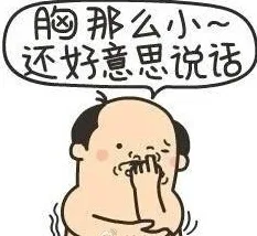 胸那么小，还好意思说话