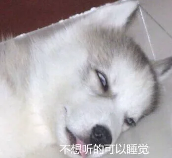 不想听的可以睡觉