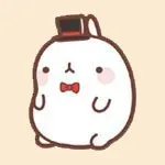 Molang兔 萌萌哒表情包_molang兔