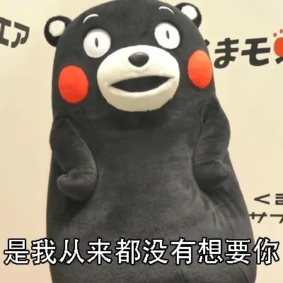 是我从来都没有想要你