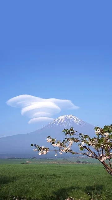 日系壁纸 fuji