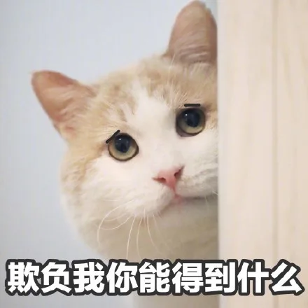 欺负我你能得到什么吗