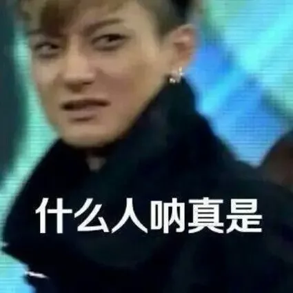 什么人呐真是的（什么人呐真是的）