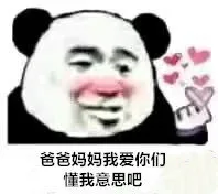 爸爸妈妈我爱你们，懂我意思吧（爸爸妈妈我爱你们，懂我意思吧）