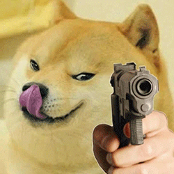 神烦柴犬拿枪表情包（神烦柴犬拿枪表情包）