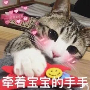 牵宝宝的手手