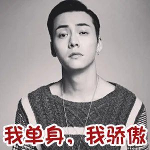 我单身，我骄傲（我单身，我骄傲）