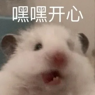 嘿嘿开心(鼠鼠表情包)（嘿嘿开心(鼠鼠表情包)）