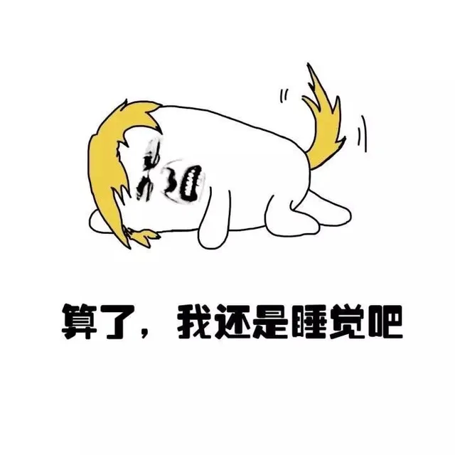 算了，我还是睡觉吧