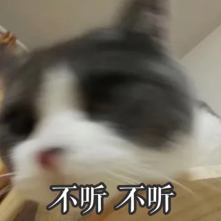 不听不听