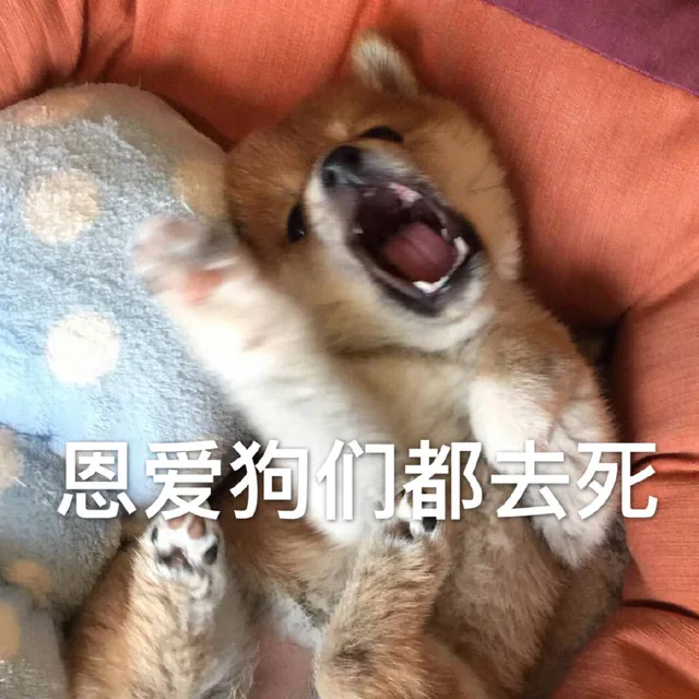 恩爱狗们都去死