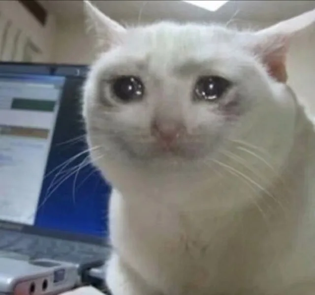 流泪猫猫头（流泪猫猫头）
