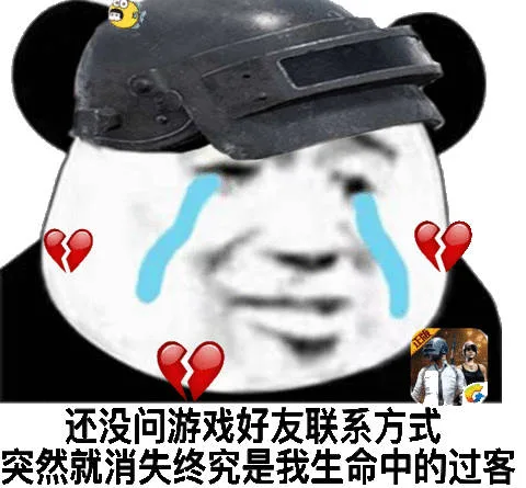 还没问游戏好友联系方式，突然就消失终究是我生命中的过客
