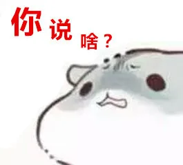 你说啥（你说啥）