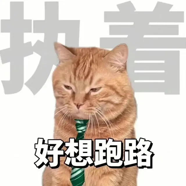 好想跑路（好想跑路）