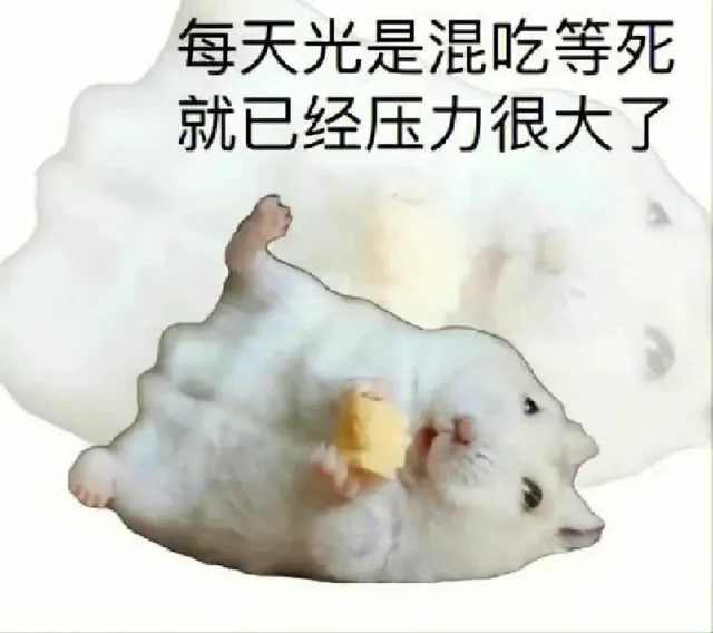 每天光是混吃等死就已经压力很大了（每天光是混吃等死就已经压力很大了）