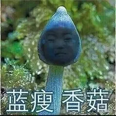 蓝瘦香菇（蓝瘦香菇）