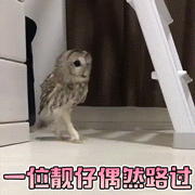一位靓仔偶然路过（一位靓仔偶然路过）