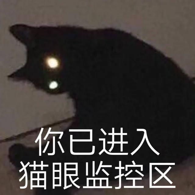 你已进入猫眼监控区