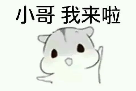 小哥 我来啦（小哥 我来啦）