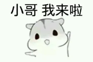 小哥 我来啦