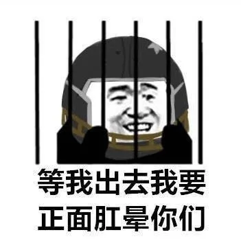 等我出去我要正面肛晕你们（等我出去我要正面肛晕你们）