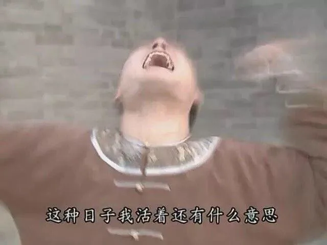这种日子我活着还有什么意思（这种日子我活着还有什么意思）