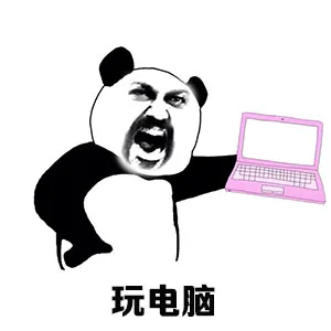 玩电脑（玩电脑）