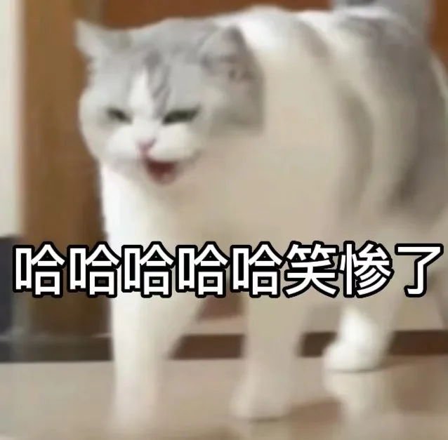 哈哈哈哈哈笑惨了(猫猫表情包)（哈哈哈哈哈笑惨了(猫猫表情包)）
