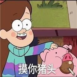 摸你猪头！