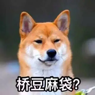 我承受着这个年龄不该有的机智和帅气（单身狗）_单身狗