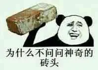 为什么不问问神奇的砖头（为什么不问问神奇的砖头）